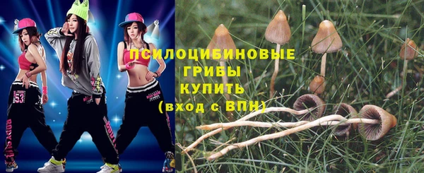 трава Абинск