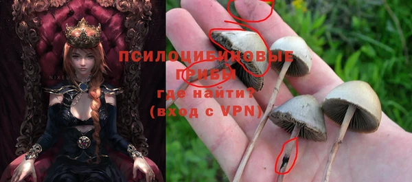 ALPHA PVP Абдулино